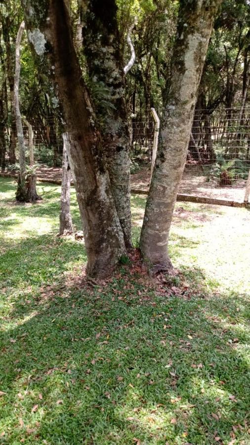 Residenciais Encantos Da Natureza Canela Luaran gambar